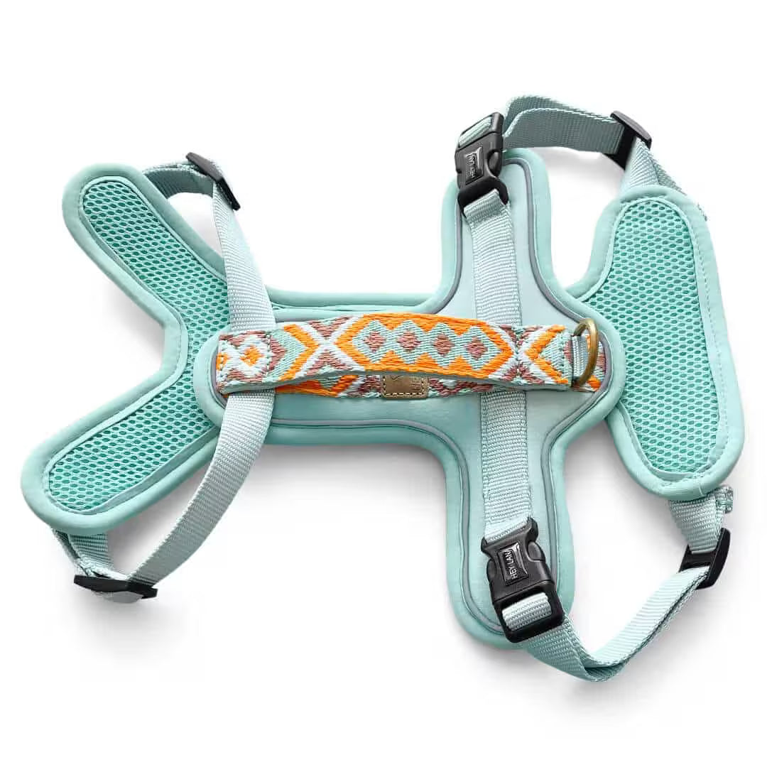 Très Chic Hundegeschirr – Komfort, Sicherheit &amp; Stil in Perfektion Mint/Orange