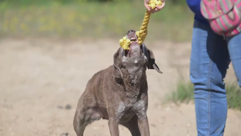 Greta Giraffe – Handgemachtes Kauspielzeug aus Baumwolle für Hunde