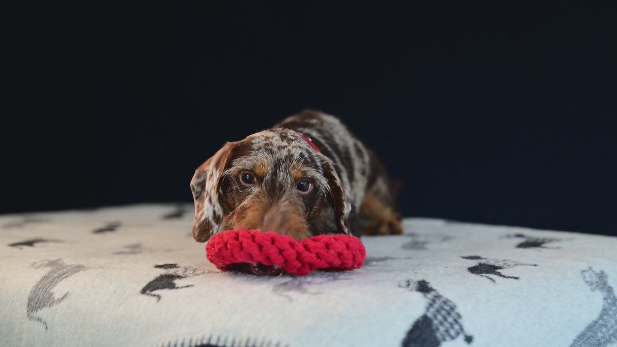 LABONI Heart ❤️ – Handgeknüpftes Hundespielzeug aus Baumwolle