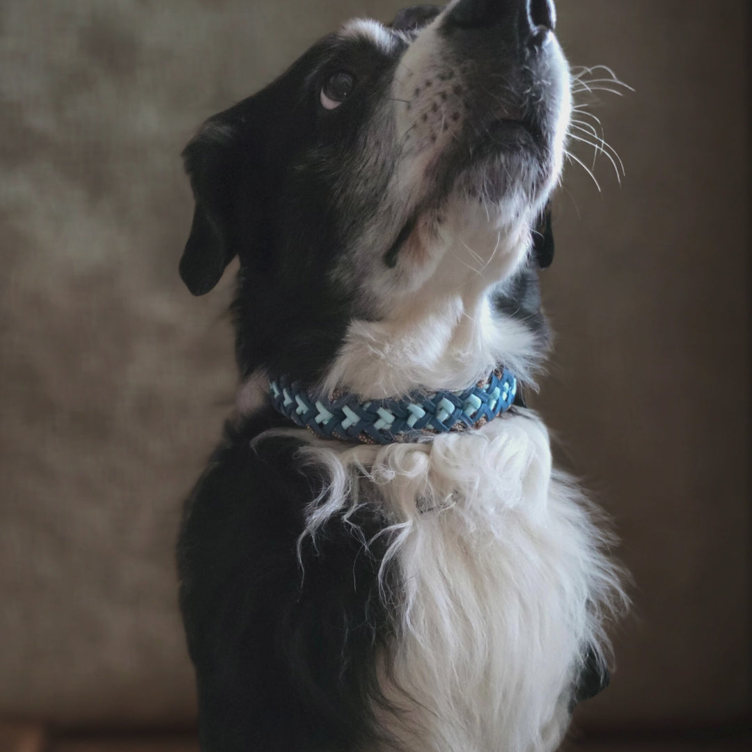 Handgemachtes Paracord-Hundehalsband „Ocean Mocha“