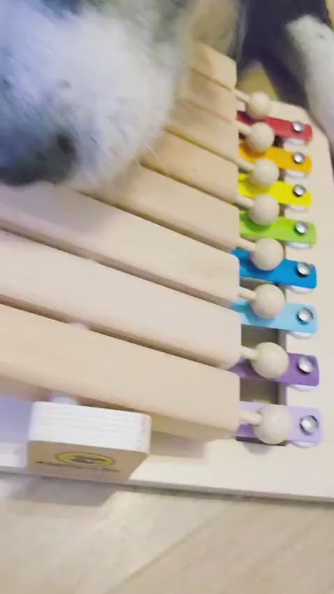 Piano – Interaktives Intelligenzspielzeug für Hunde – Spielzeug des Jahres