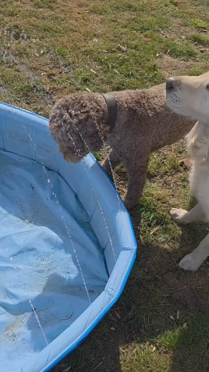 Hunde-Sprinkler Pool – Wasserspaß &amp; Abkühlung Ø 120 cm