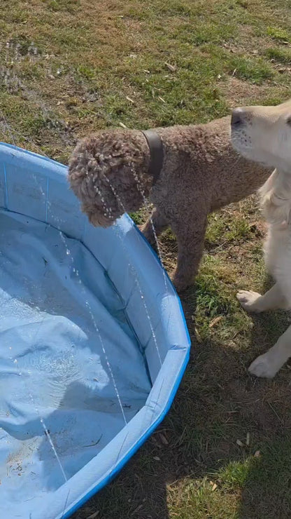 Hunde-Sprinkler Pool – Wasserspaß &amp; Abkühlung Ø 120 cm