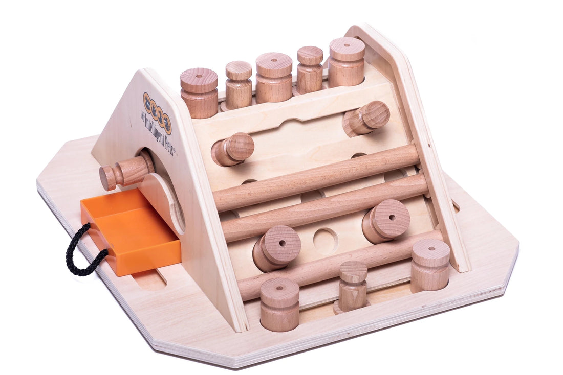 Pyramide – Intelligenzspiel für Hunde | Anspruchsvoll - Flokido