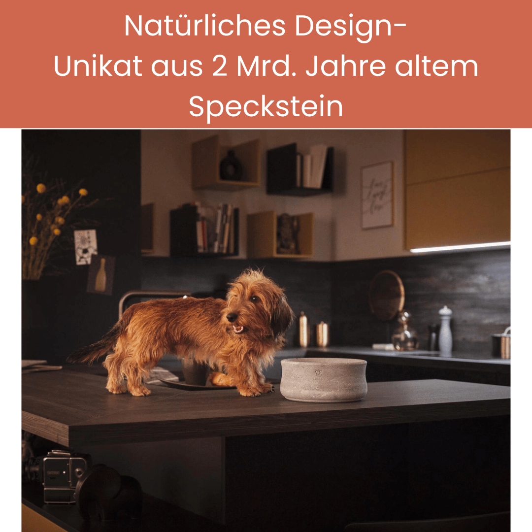 ROCKY Naturstein - Napf – selbstkühlend, stilvoll &amp; massiv - Pfotenlieblinge