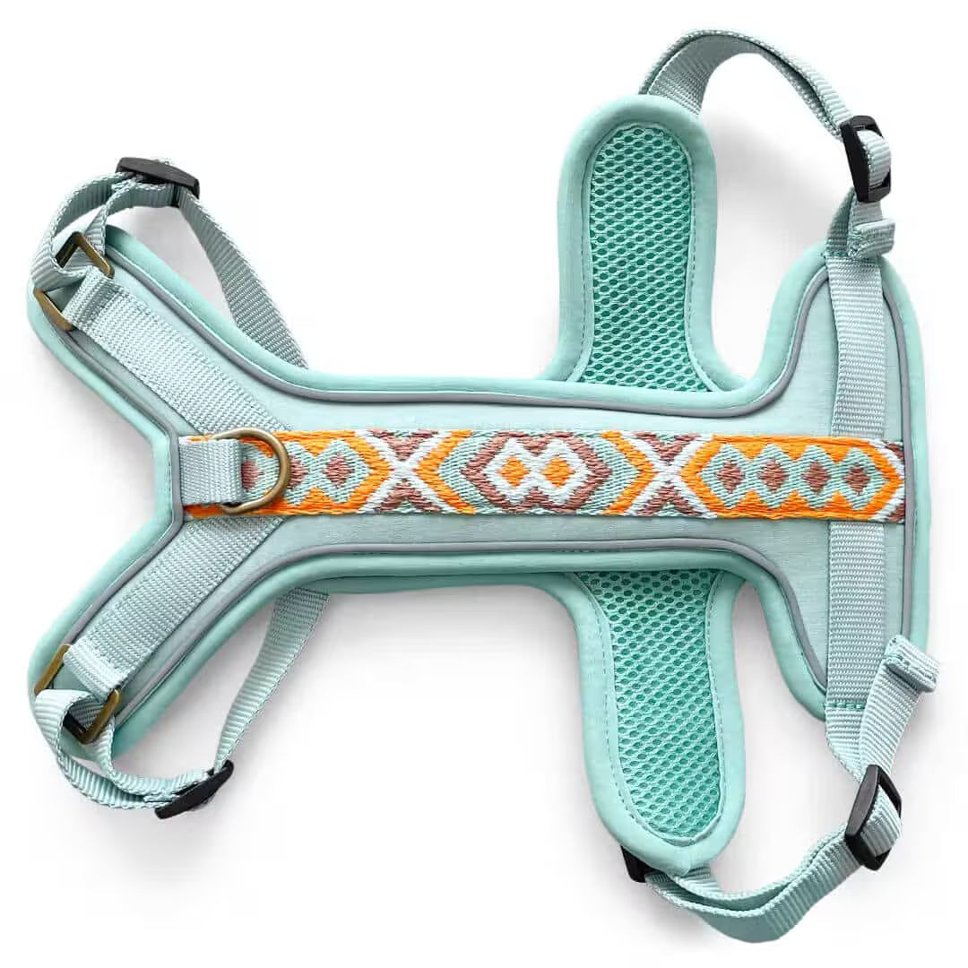 Très Chic Hundegeschirr – Komfort, Sicherheit &amp; Stil in Perfektion Mint/Orange