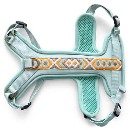 Très Chic Hundegeschirr – Komfort, Sicherheit &amp; Stil in Perfektion Mint/Orange