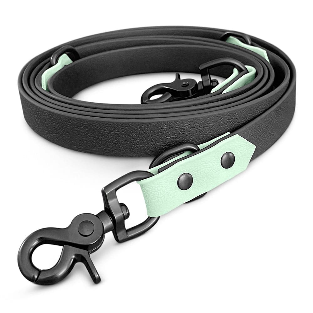 Schmutzabweisendes Geschirr &amp; Leine (Set) in Schwarz/Mint - Pfotenlieblinge