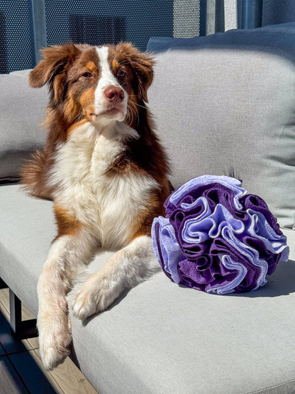 Schnüffelball für Hunde, Snackspielzeug Hund, Hundespielzeug - Pfotenlieblinge