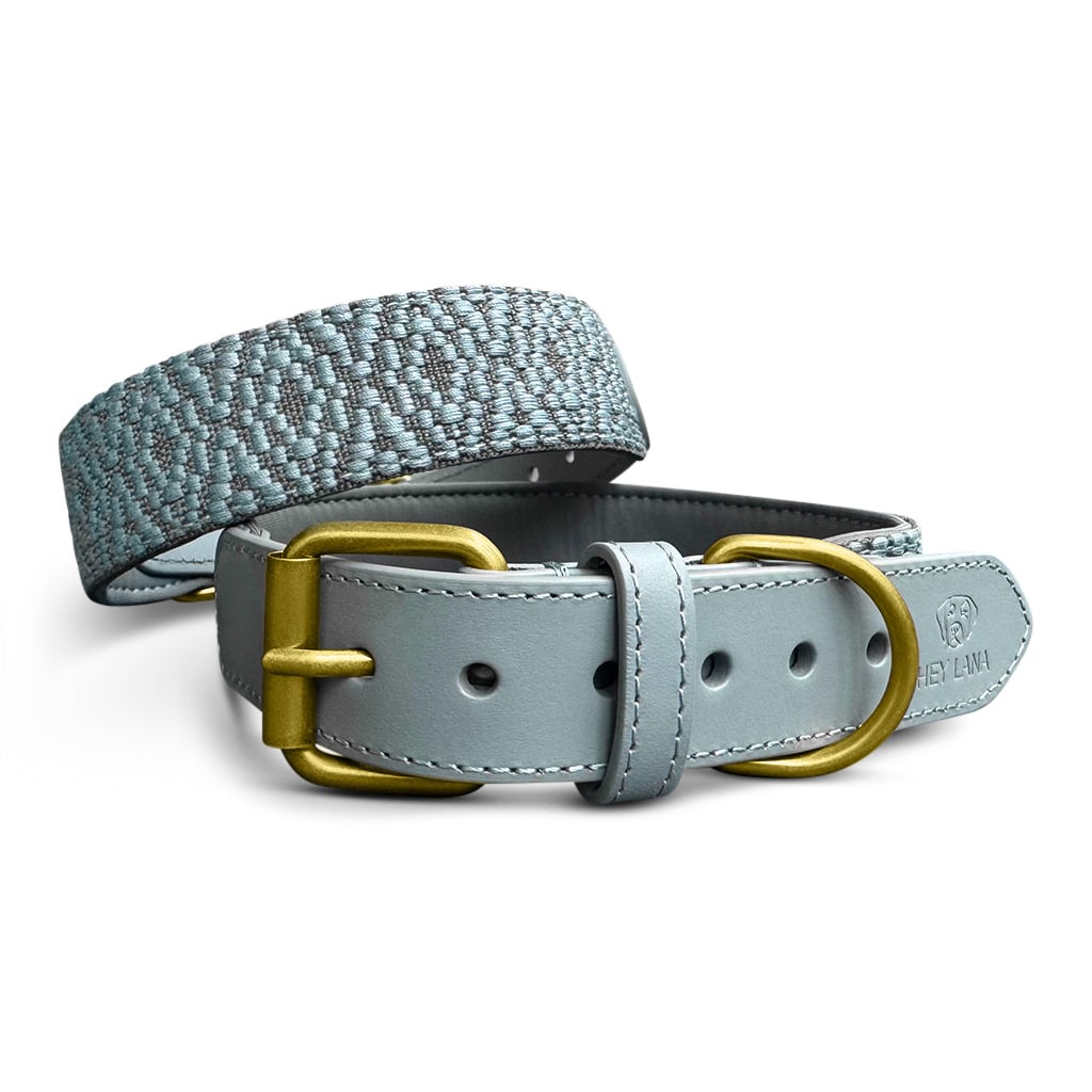 Set Hundehalsband, Leine und Geschirr – Anthrazit/Eisblau - Pfotenlieblinge