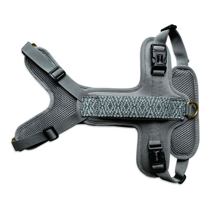 Set Hundehalsband, Leine und Geschirr – Anthrazit/Eisblau - Pfotenlieblinge