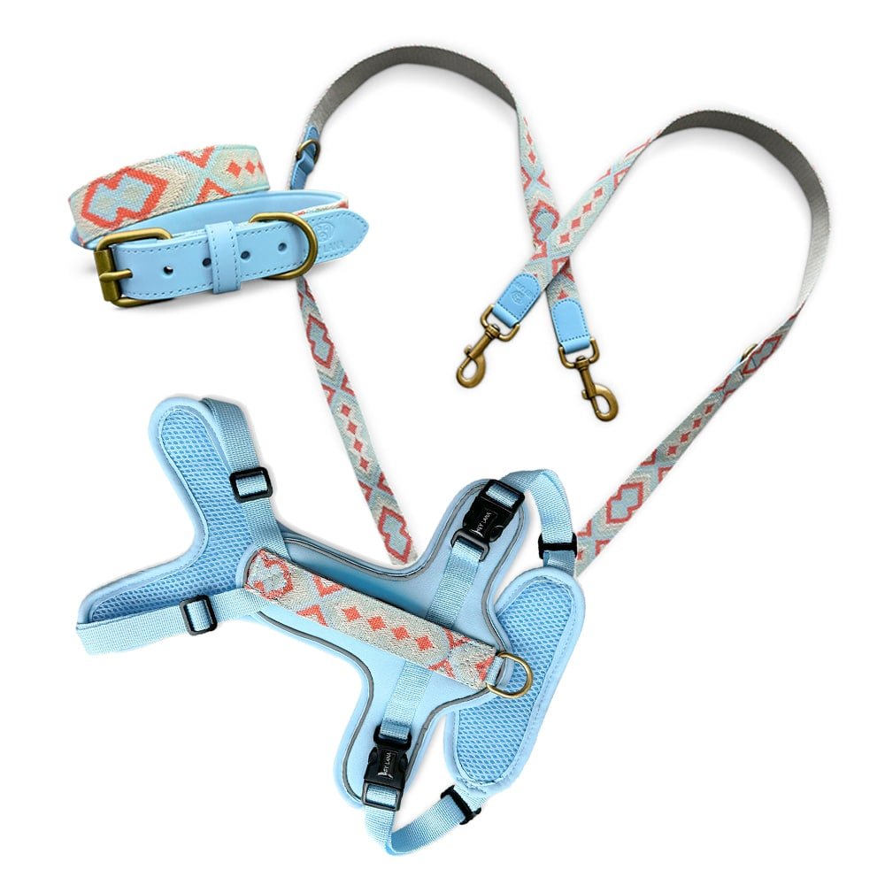 Set Hundehalsband, Leine und Geschirr - coral/blau - Pfotenlieblinge
