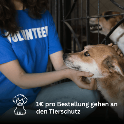 Set Hundehalsband, Leine und Geschirr - coral/blau - Flokido