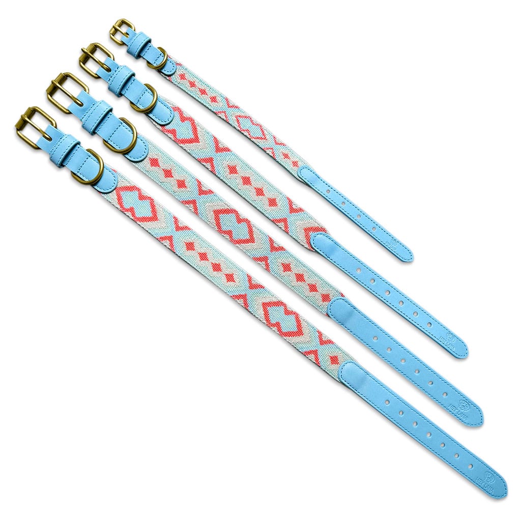 Set Hundehalsband, Leine und Geschirr - coral/blau - Pfotenlieblinge