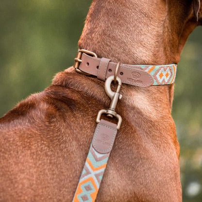 Set Hundehalsband, Leine und Geschirr – Mint/Orange - Pfotenlieblinge