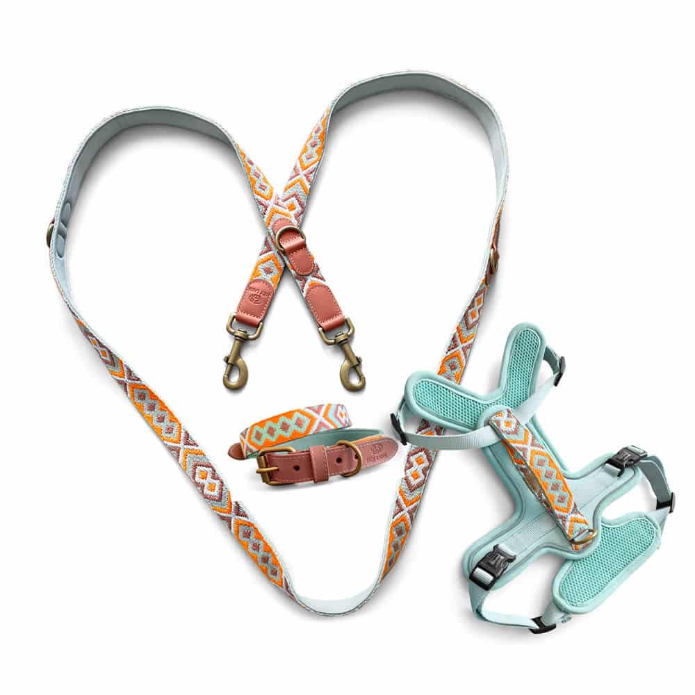 Set Hundehalsband, Leine und Geschirr – Mint/Orange - Pfotenlieblinge