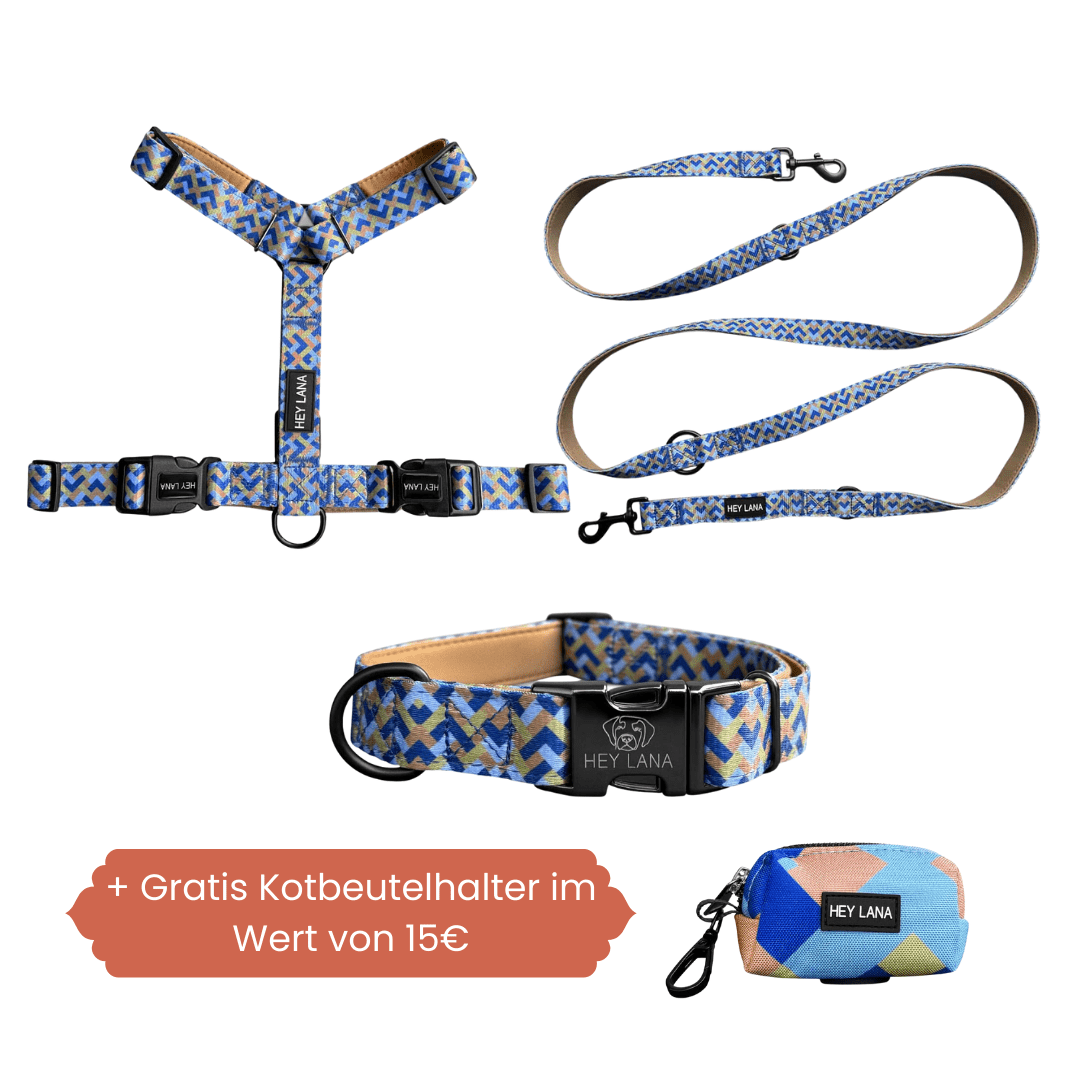 Set Hundehalsband, Leine und Geschirr - Mocca/Blau - Pfotenlieblinge