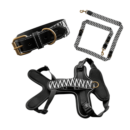 Set Hundehalsband, Leine und Geschirr - Schwarz/Weiß - Pfotenlieblinge