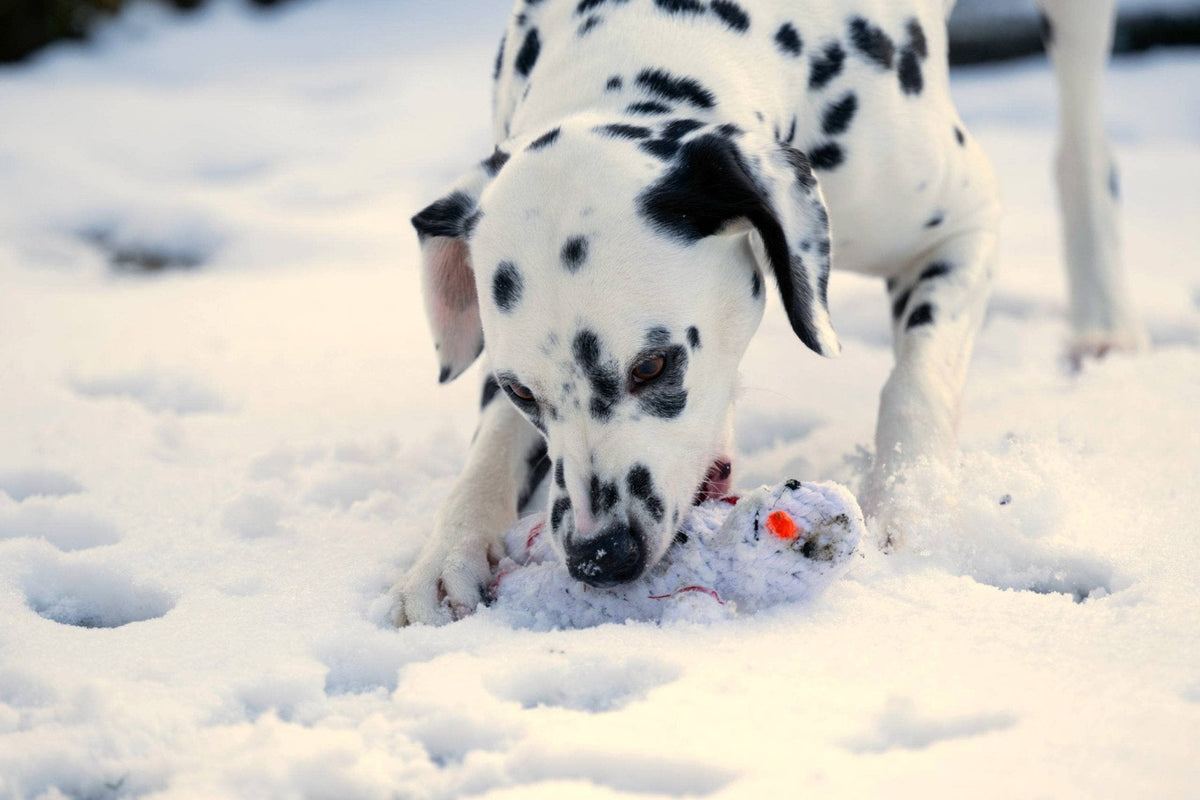 Shawn der Schneemann – Kult-Spielzeug aus Baumwolltau - Flokido
