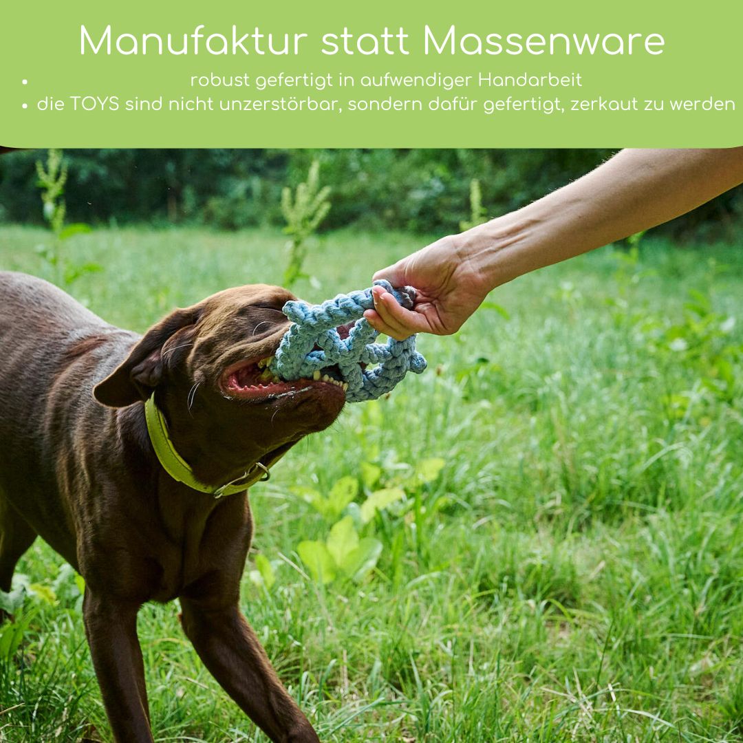 Skipper - Kult-Spielzeug für Hunde - Flokido