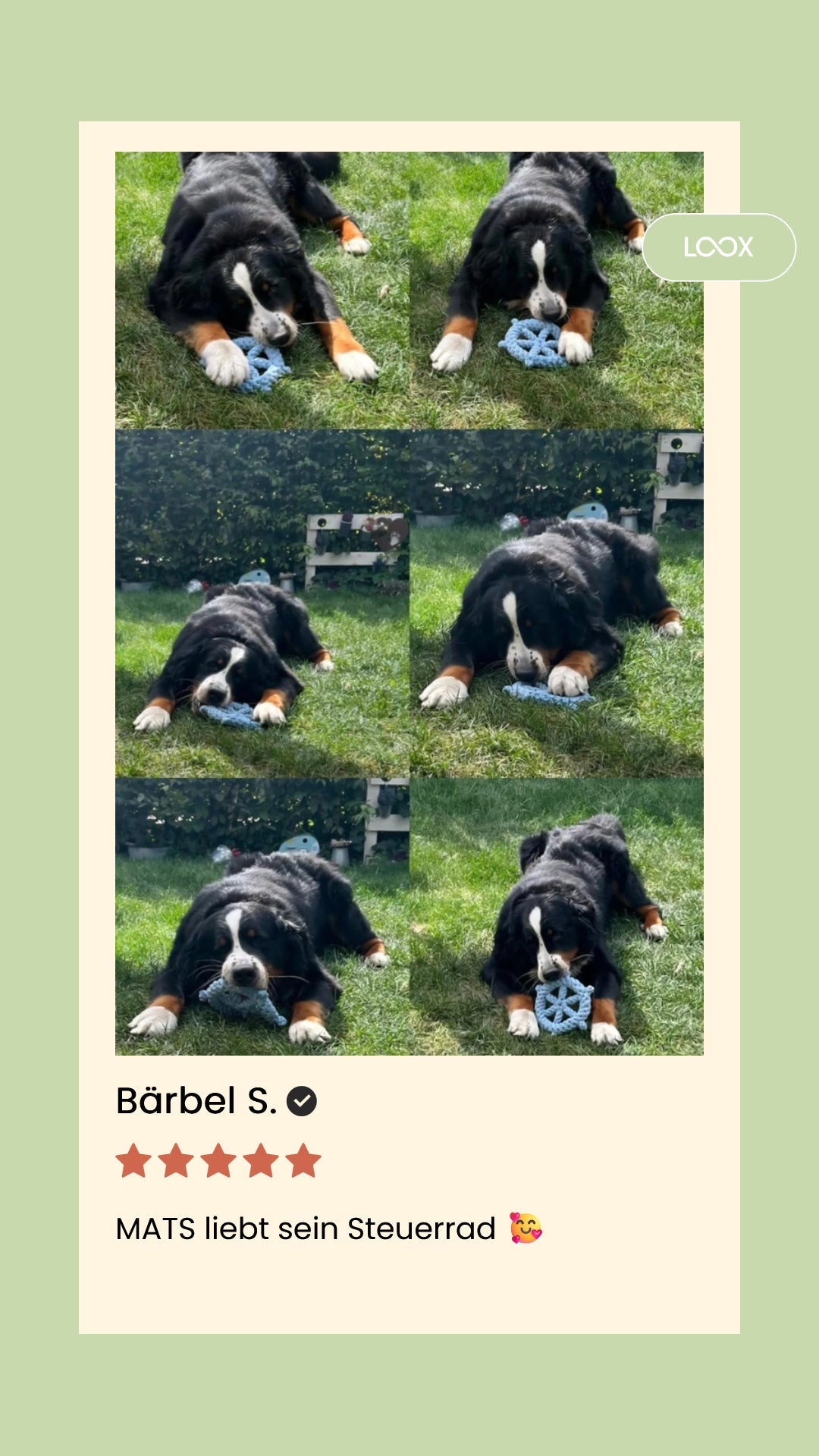 Skipper - Kult-Spielzeug für Hunde - Flokido