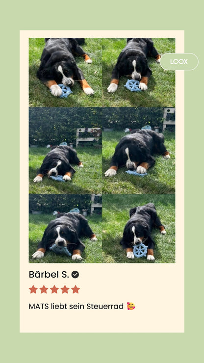 Skipper - Kult-Spielzeug für Hunde - Flokido