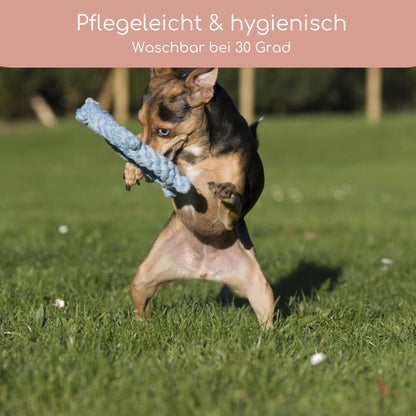 Skipper - Kult-Spielzeug für Hunde - Flokido