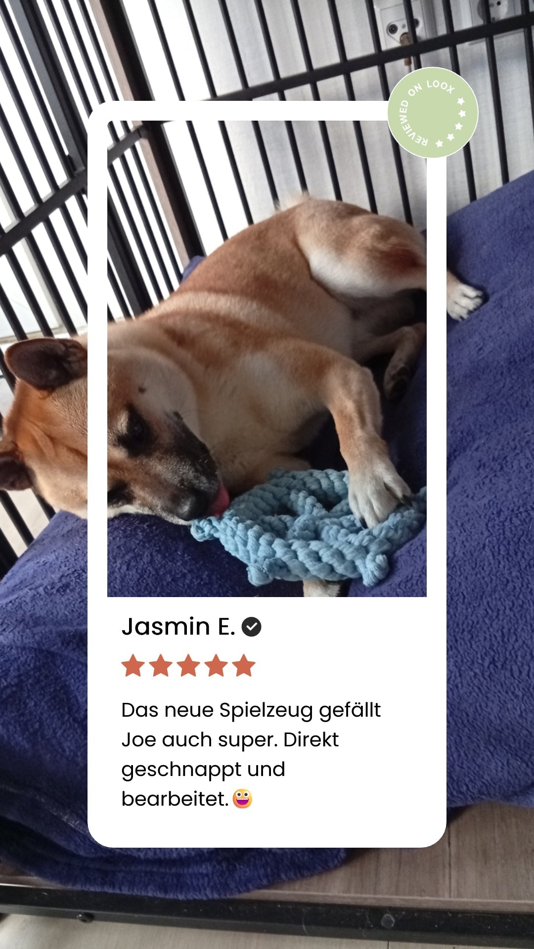 Skipper - Kult-Spielzeug für Hunde - Flokido