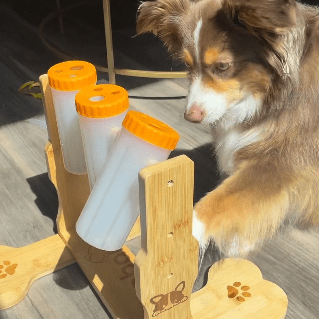 Snacklab Leckerli-Spender – Intelligenzspiel für Hunde - Flokido