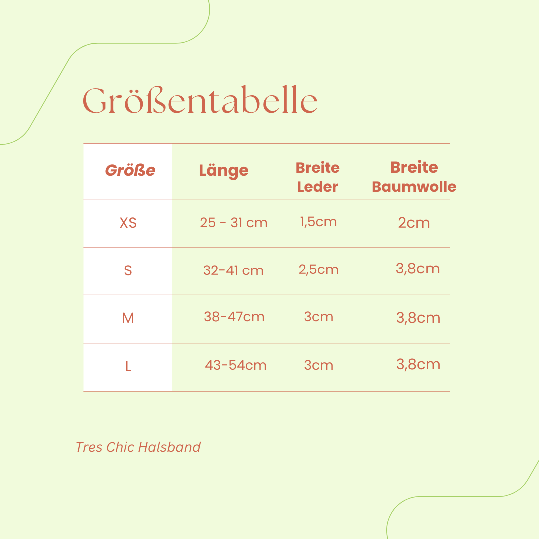 Sparset: Halsband &amp; Leine in Anthrazit/Eisblau - Pfotenlieblinge
