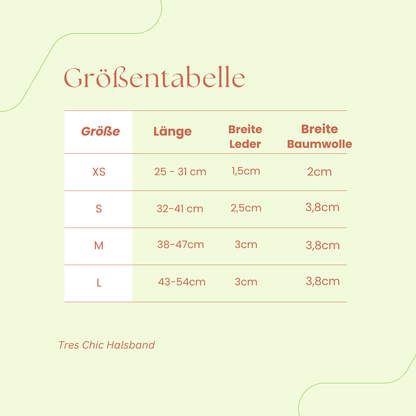Sparset: Halsband &amp; Leine in Anthrazit/Eisblau - Pfotenlieblinge