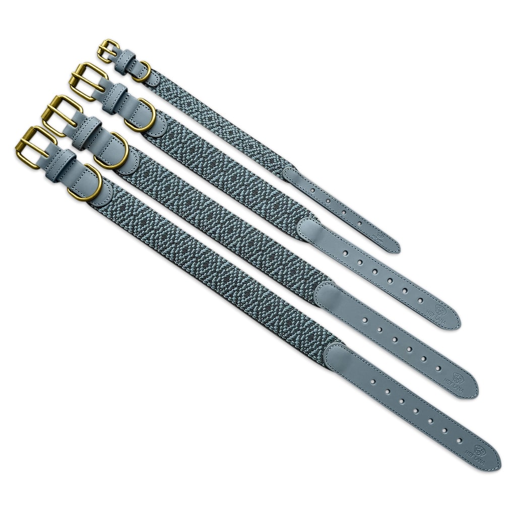 Sparset: Halsband &amp; Leine in Anthrazit/Eisblau - Pfotenlieblinge
