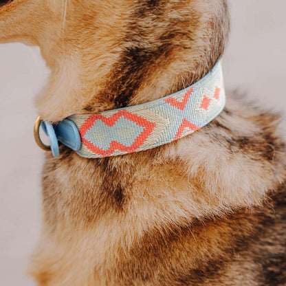 Sparset: Halsband &amp; Leine in Coral/Blau - Pfotenlieblinge
