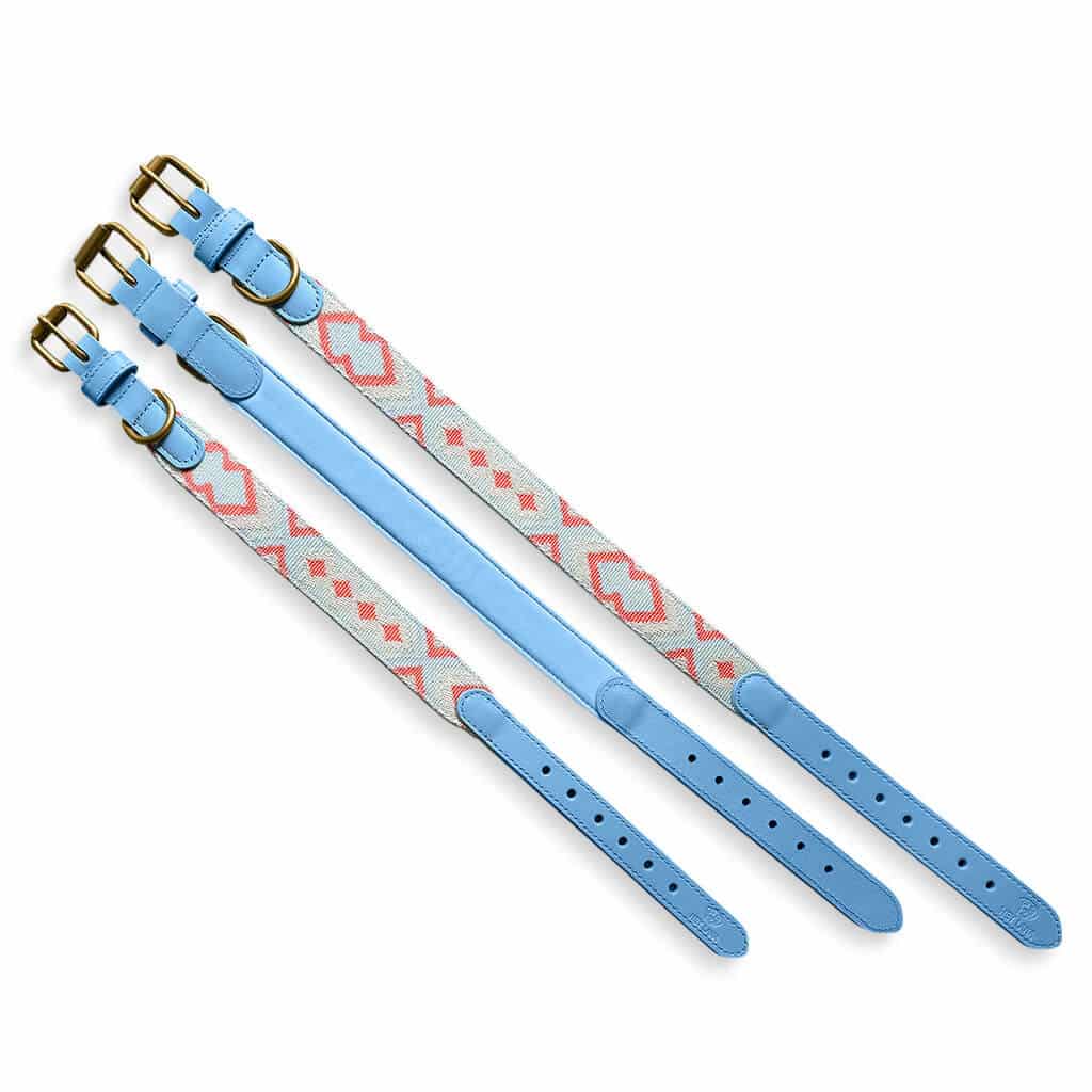 Sparset: Halsband &amp; Leine in Coral/Blau - Pfotenlieblinge