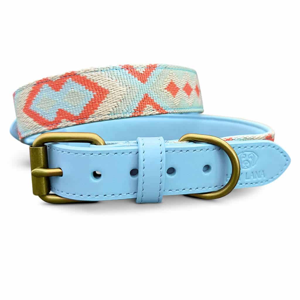 Sparset: Halsband &amp; Leine in Coral/Blau - Pfotenlieblinge