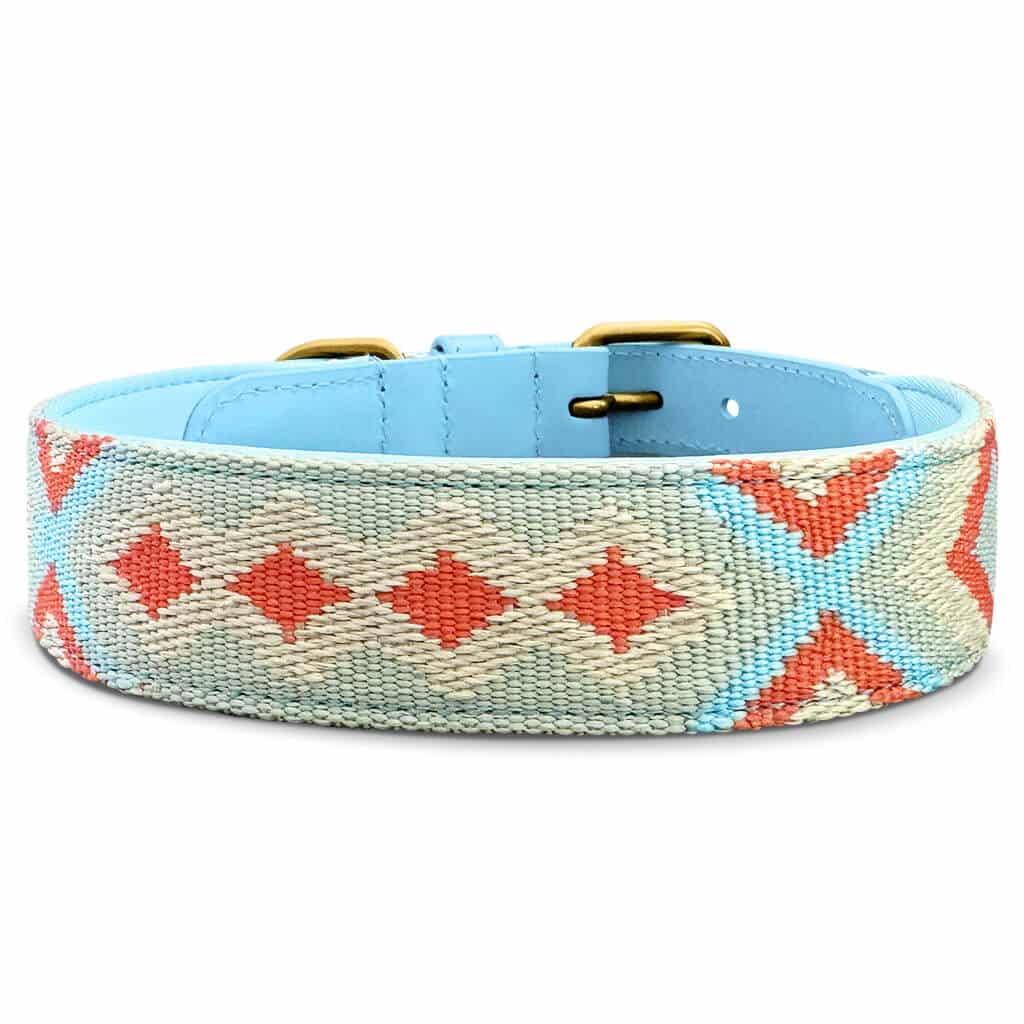 Sparset: Halsband &amp; Leine in Coral/Blau - Pfotenlieblinge