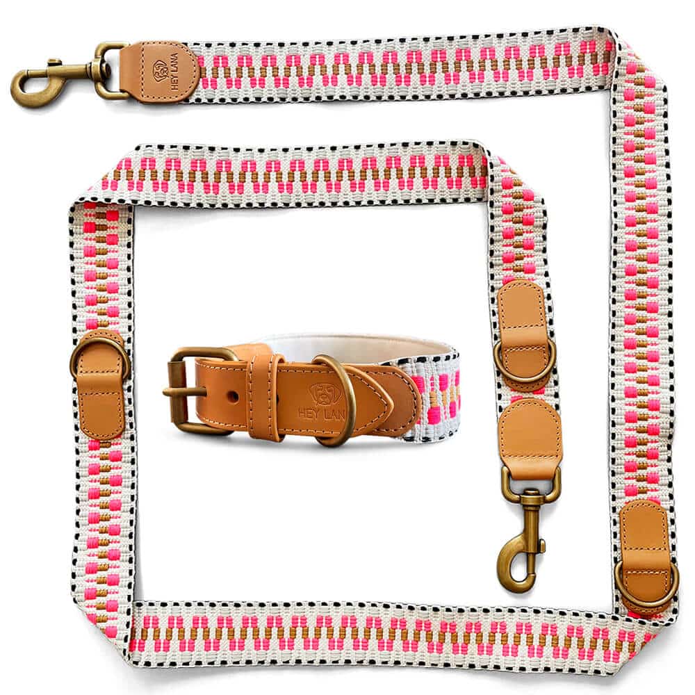 Sparset: Halsband &amp; Leine in Pink/Beige - Pfotenlieblinge