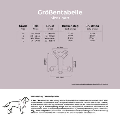 Stilvolles Hundegeschirr – Très Chic – Schwarz/Weiß von HeyLana - Pfotenlieblinge