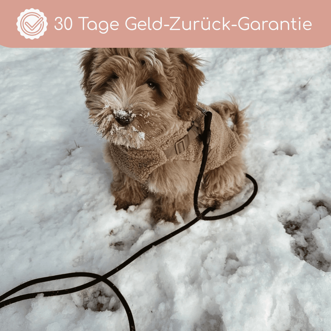 Teddyfleece-Hundemantel – Warm &amp; Kuschelig mit Integriertem Geschirr - Flokido