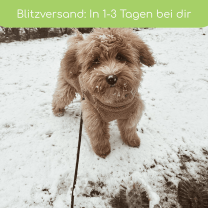 Teddyfleece-Hundemantel – Warm &amp; Kuschelig mit Integriertem Geschirr - Flokido