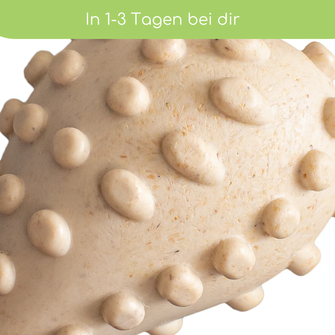 BetterBone Hundeknochen – Nachhaltig, Zahnfreundlich &amp; Langlebiges Kauspielzeug