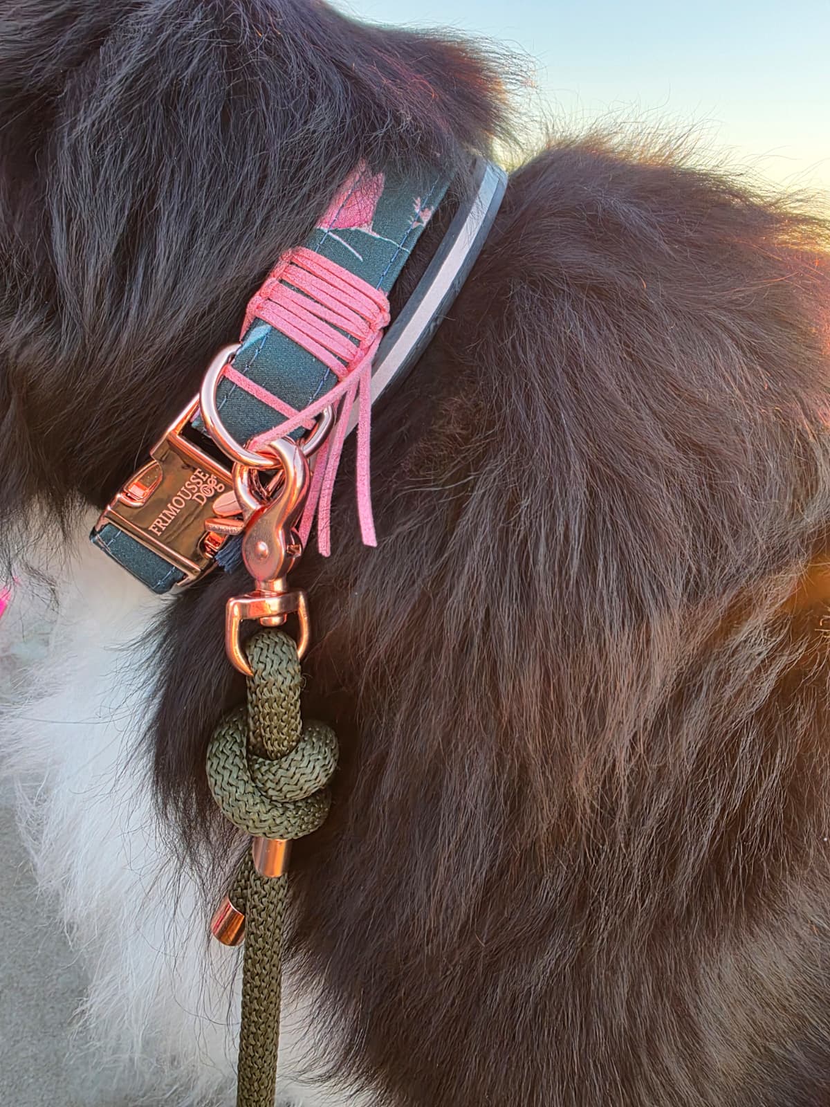 Verstellbares Hundehalsband handgemacht in Frankreich - Pfotenlieblinge