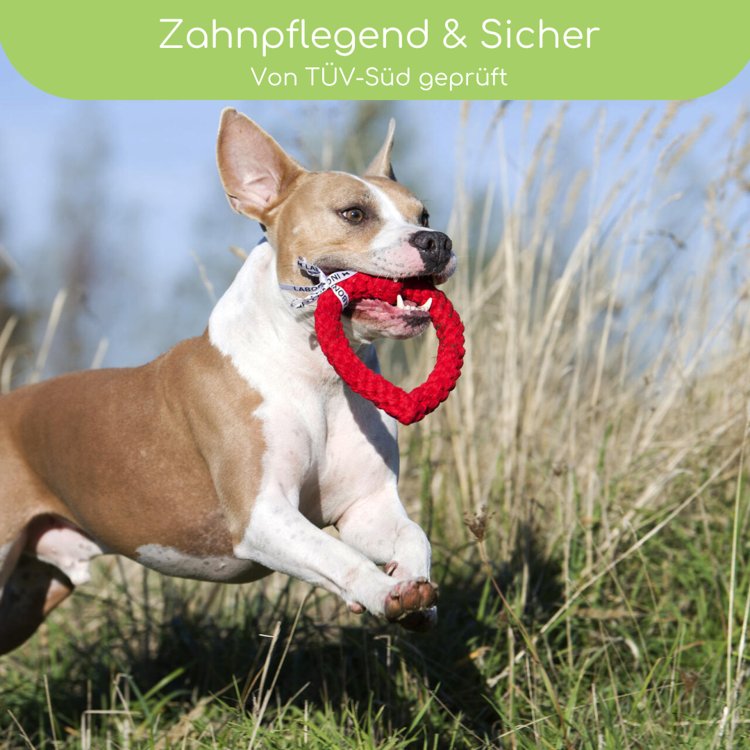 LABONI Heart ❤️ – Handgeknüpftes Hundespielzeug aus Baumwolle