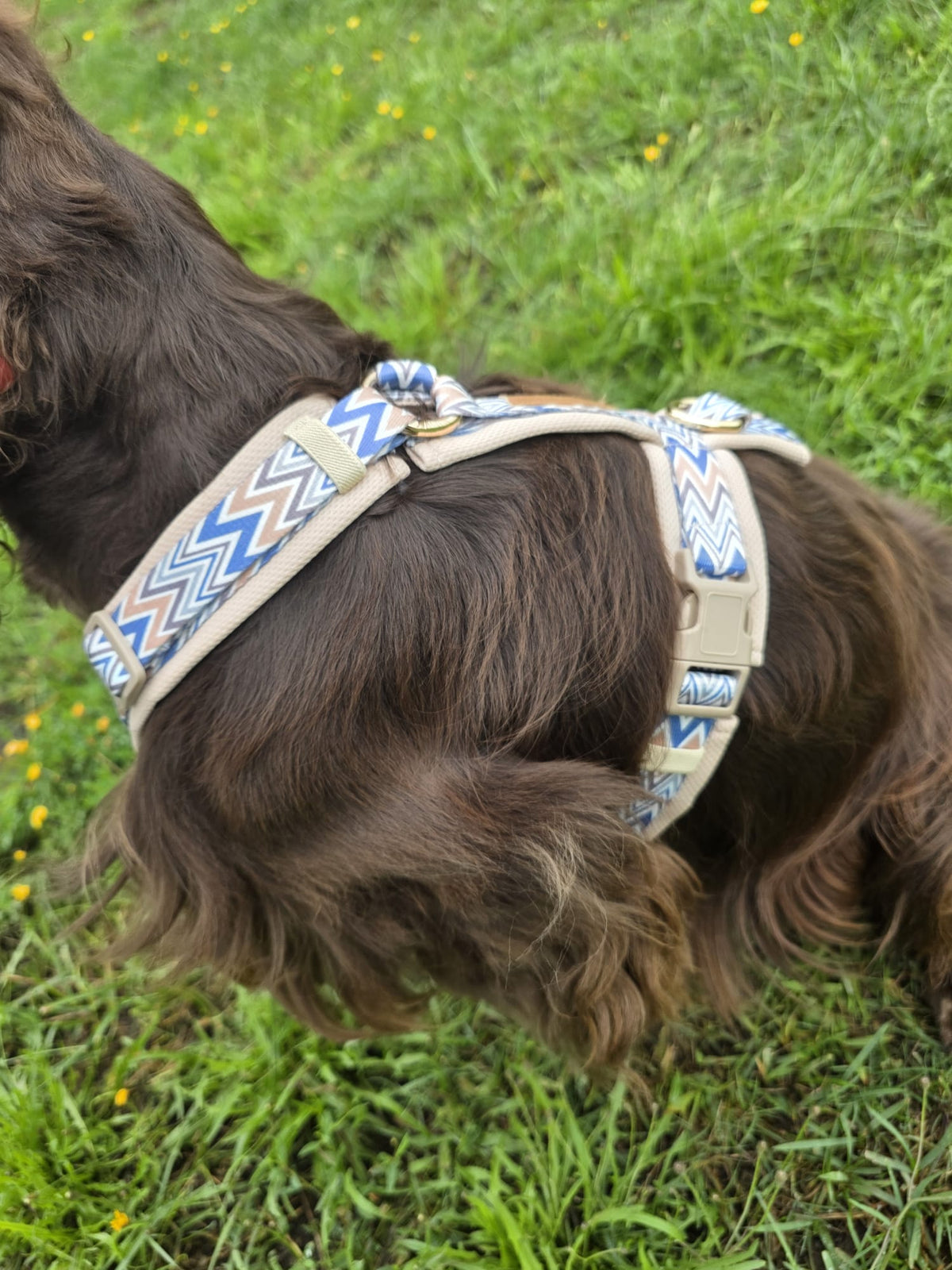 Ziggy Latte Y-Geschirr – Leicht &amp; Sanft für Sensible Hunde - Flokido