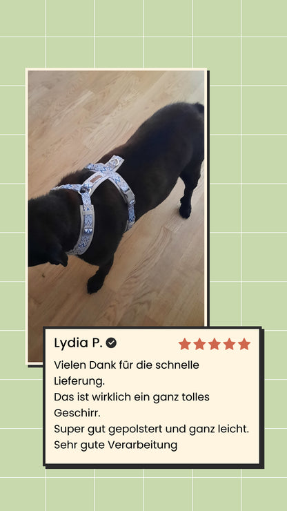 Ziggy Latte Y-Geschirr – Leicht &amp; Sanft für Sensible Hunde