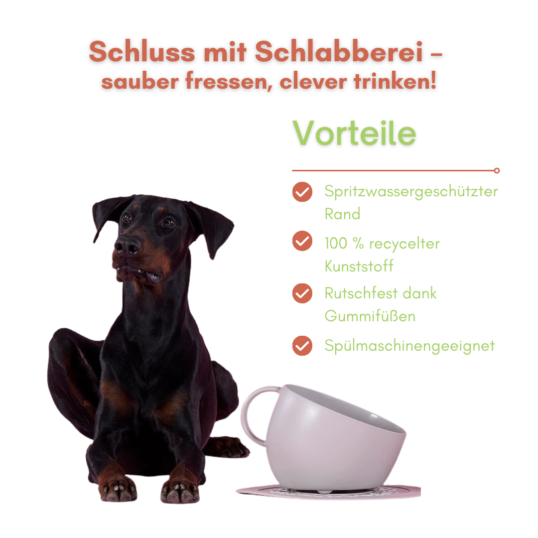 Antischlabbernapf Tassenform – 2,5L, Recycelt &amp; Spritzfreies Trinken